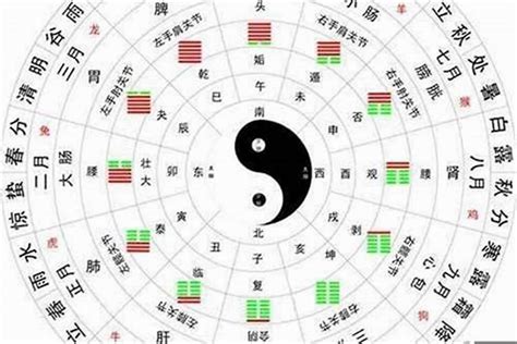 火的数字|数字 0~9中，各属于金木水火土 五行中的什么？